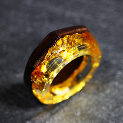 【送料無料】Wood Resin Ring/Gold ～ウッドレジンリング～ 6枚目の画像