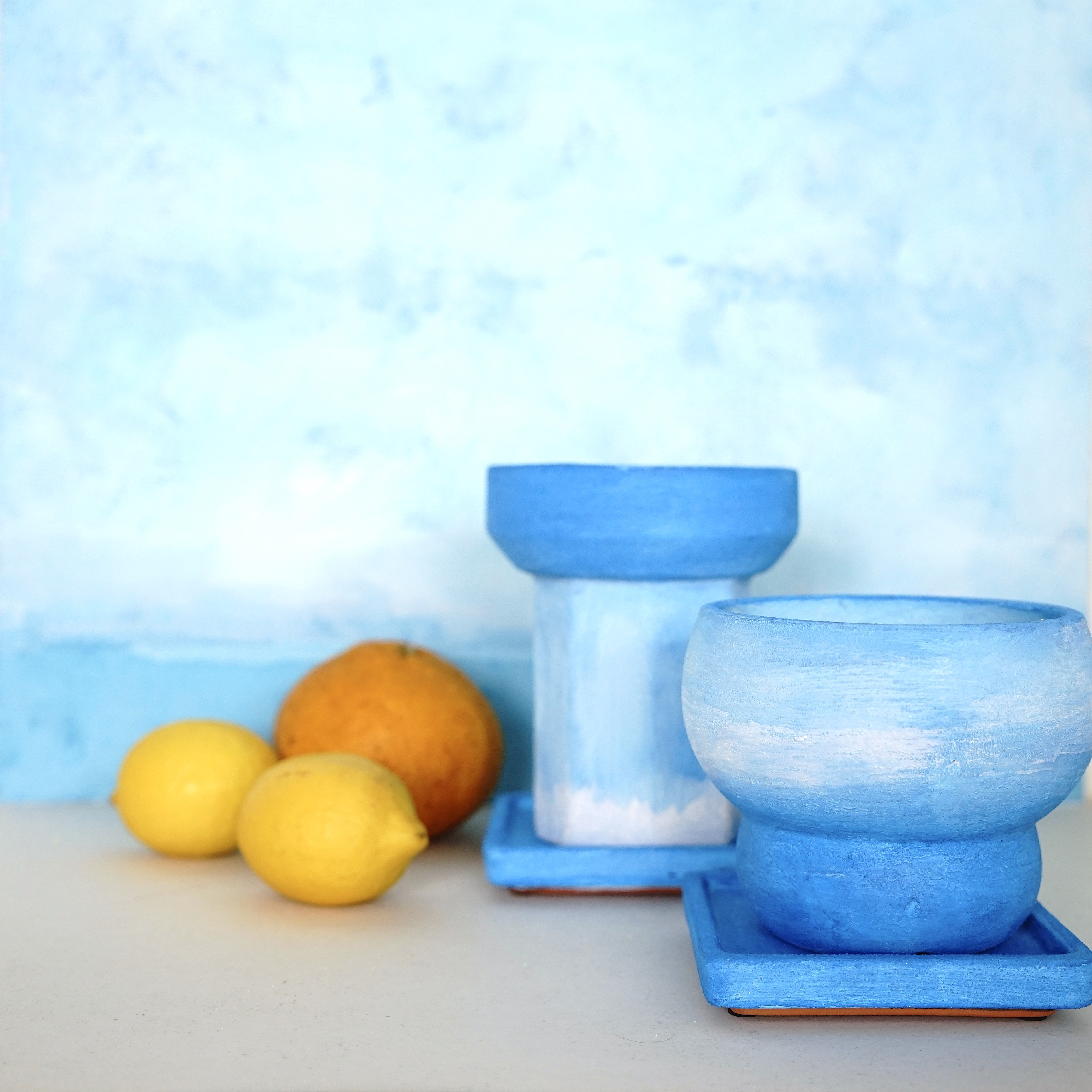 静物画から抜け出したような植木鉢　Noppo and Dango : BLUE