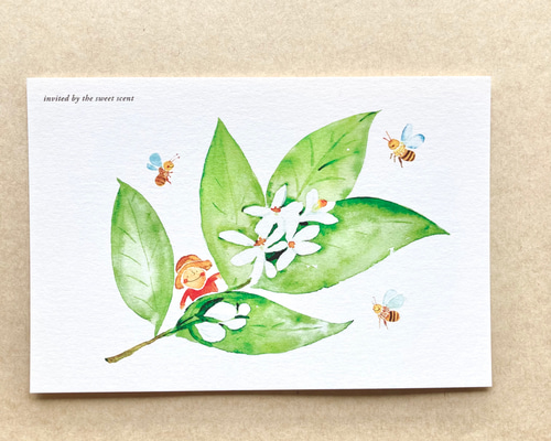 No.060】ポストカード 3枚セット（甘い香りに誘われて〜みかんの花