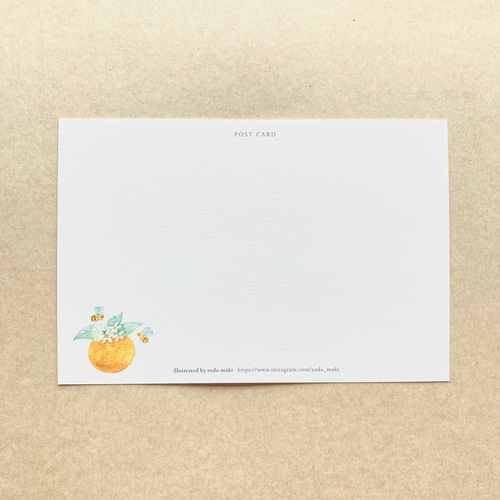 No.060】ポストカード 3枚セット（甘い香りに誘われて〜みかんの