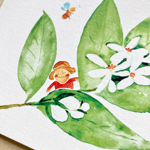 No.060】ポストカード 3枚セット（甘い香りに誘われて〜みかんの花