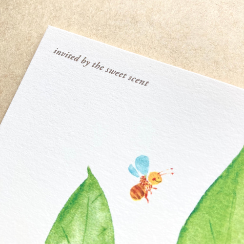 No.060】ポストカード 3枚セット（甘い香りに誘われて〜みかんの花