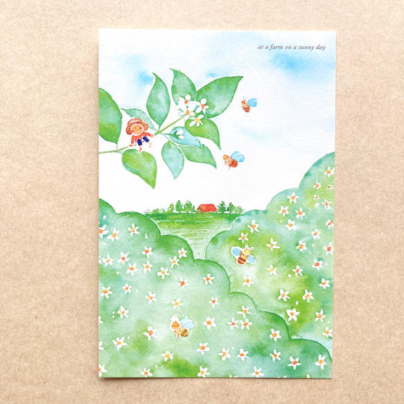 【No.061】ポストカード 3枚セット（〜みかんの花シリーズ〜） 4枚目の画像