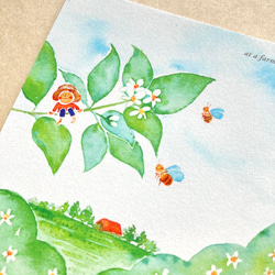 【No.061】ポストカード 3枚セット（〜みかんの花シリーズ〜） 7枚目の画像