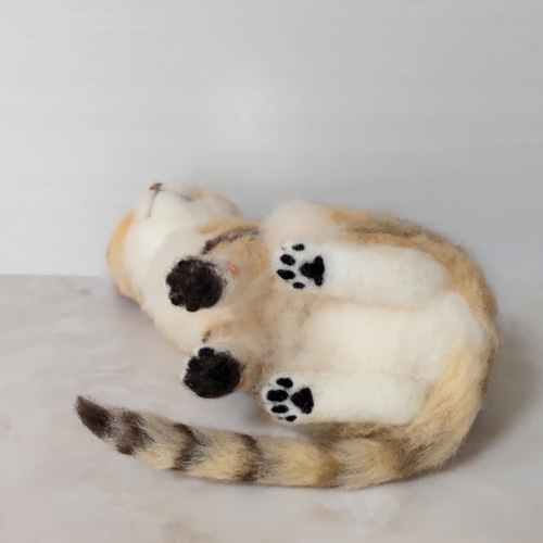 羊毛フェルト　スナネコ 受注制作✨羊毛フェルトのスナネコ | iichi 日々の暮らしを