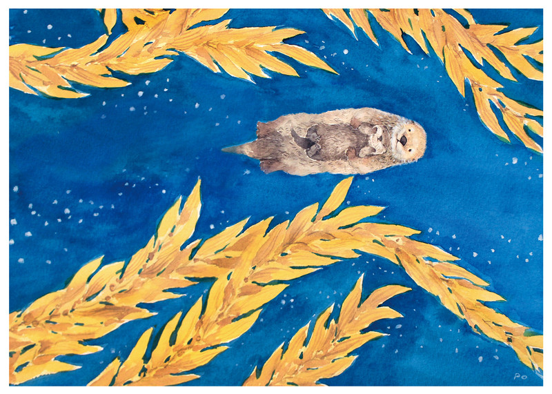 動物園70周年記念ホログラムカード らっこ 動物とその起源ラッコ