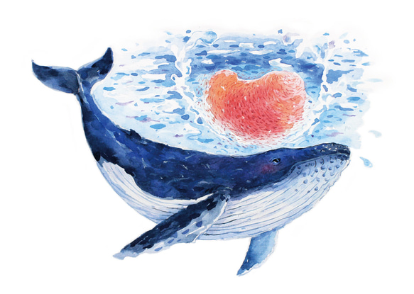 動物とその起源クジラザトウクジライラストポストカード ポスト