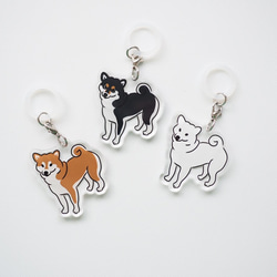 柴犬のアンブレラマーカー 1個（三種よりお選びください） その他