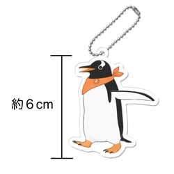 アクキー ／南極ペンギンカラーズ 2枚目の画像