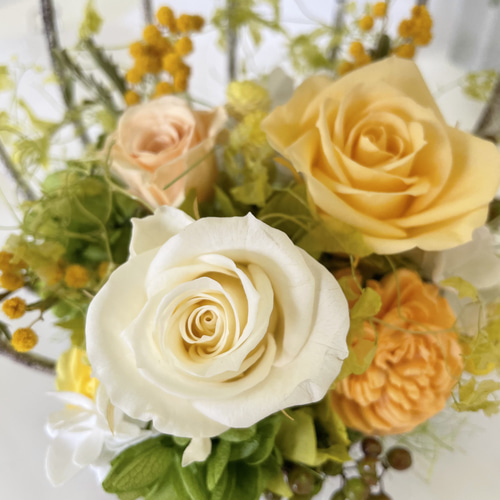 鳥かごアレンジ　フライングリース 鳥かごのアレンジ | le petit bonheur