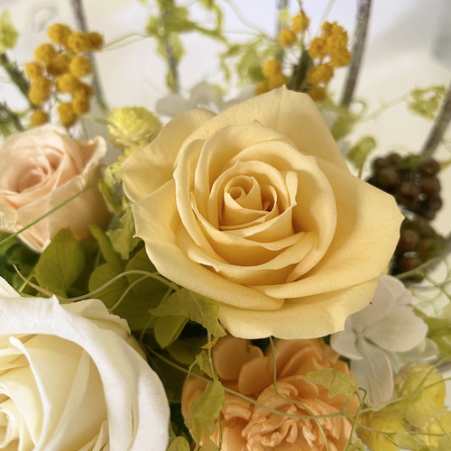 鳥かごアレンジ プリザーブドフラワー seed leaf53 通販 13813447