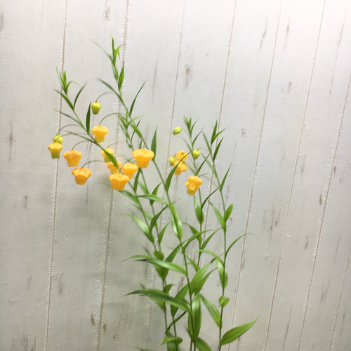 希少 開花株 サンダーソニア〝オーランティアカ〟鉢植え その他