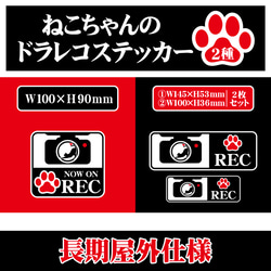 【猫ちゃんのドラレコステッカー】ドライブレコーダーステッカー／防犯カメラステッカー 4枚目の画像