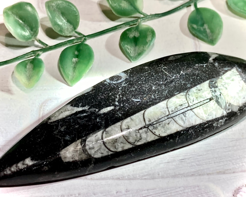 04be10dec794a471be593ee3977e8e