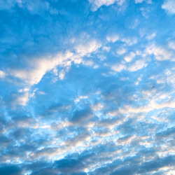 晴れやかブルー　青空のハーバリウム　母の日　フラワーギフト　 6枚目の画像