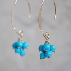 ポメころび◇希少アグニマニタイト×スリーピングビューティー