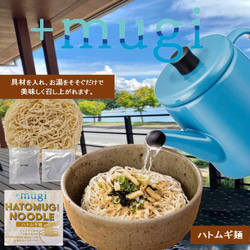 ハトムギ麺（ハトムギ麺×即席麺・オオムギ麺×即席麺）生活応援キャンペーン！　定価11040円　ダイエット・内祝にも 3枚目の画像