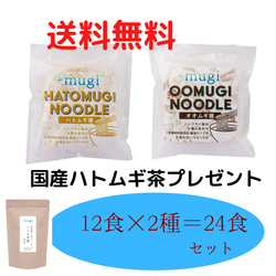 ハトムギ麺（ハトムギ麺×即席麺・オオムギ麺×即席麺）生活応援キャンペーン！　定価11040円　ダイエット・内祝にも 1枚目の画像