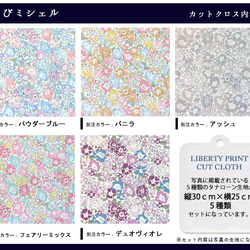 リバティ【カットクロス】「ちびちびミシェル2」5種セット　生地　はぎれ　布　綿　LIBERTY 3枚目の画像