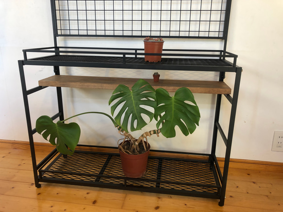 ボタニカルシェルフ 植物飾り アイアン棚 無骨な棚 組み立て式