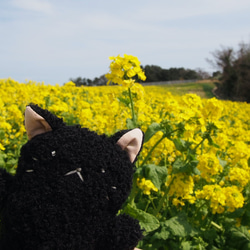 ぬいぐるみ　黒猫ちゃん（ぬいぐるみ素材） 6枚目の画像