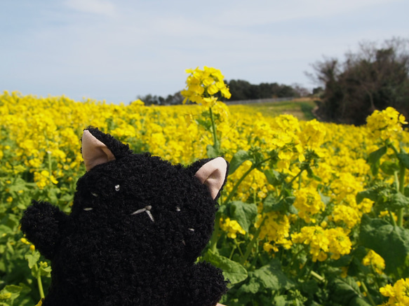 ぬいぐるみ　黒猫ちゃん（ぬいぐるみ素材） 6枚目の画像