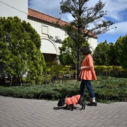 わんちゃん服 ストレッチ素材 綿100% M L ドッグウェア 飼い主さまとお揃いお洋服 10枚目の画像