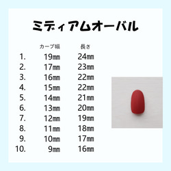 サイズ確認用　サンプルチップ 5枚目の画像