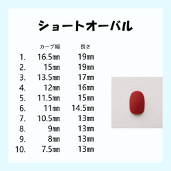 サイズ確認用　サンプルチップ 2枚目の画像