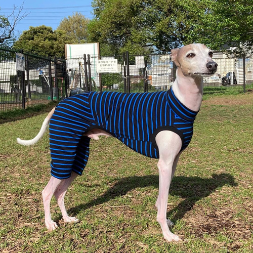 イタグレ服ハンドメイド 太ボーダーロンパース