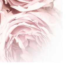 柔和的粉紅色花卉陽台女士/室內海報外國藝術3件套/3063 第5張的照片