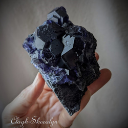 46c4bb44da808ef4338e12859a67bc