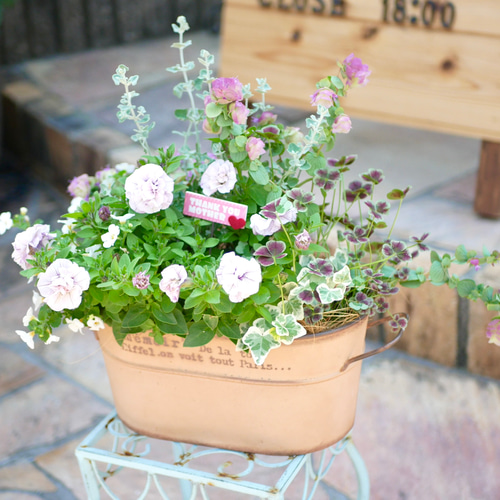 油絵　専用　ペチュニアが咲く寄せ植え　大キャンバス 油絵　専用　ペチュニアが咲く寄せ植え　大キャンバス