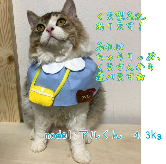 再販★猫用園児スモック 7枚目の画像