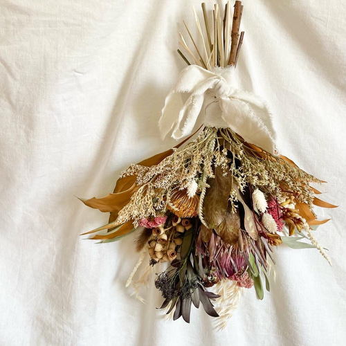 プロテア/グレビレア/フォルモーサ/ネイティブフラワーのドライ