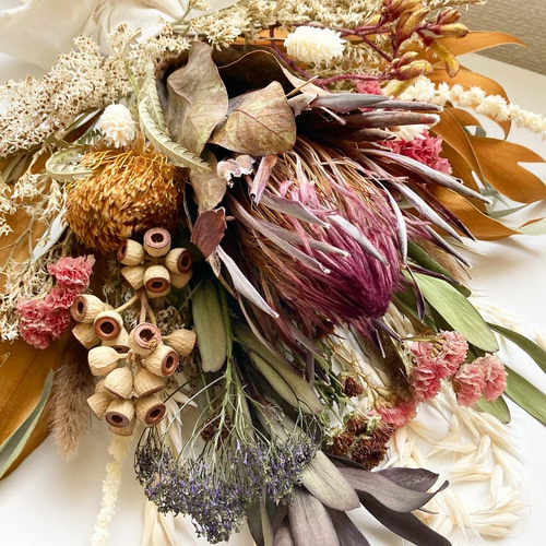 プロテア/グレビレア/フォルモーサ/ネイティブフラワーのドライ