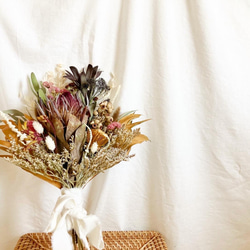 プロテア/グレビレア/フォルモーサ/ネイティブフラワーのドライ