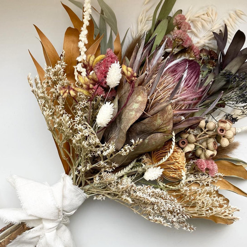 プロテア/グレビレア/フォルモーサ/ネイティブフラワーのドライ