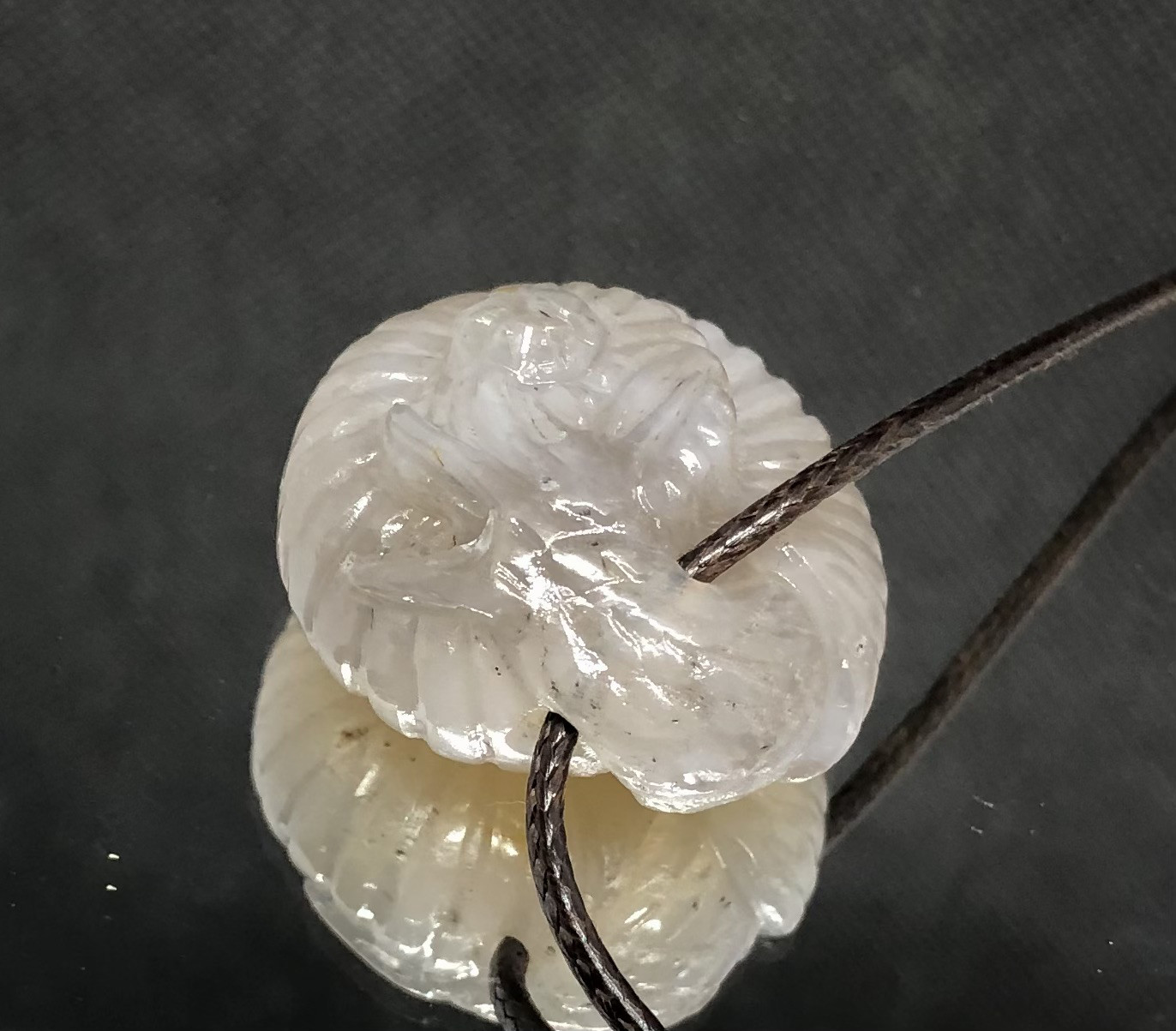 カタツムリ　宝玉髄