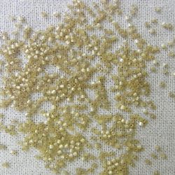 カットビーズ　アンティークアイボリー 3枚目の画像