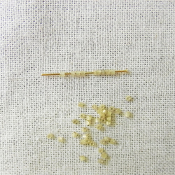 カットビーズ　アンティークアイボリー 2枚目の画像