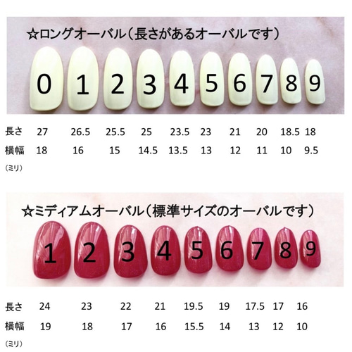 サイズ確認用ネイルチップ 2セット 種類多数あり ネイルチップ（つけ爪 