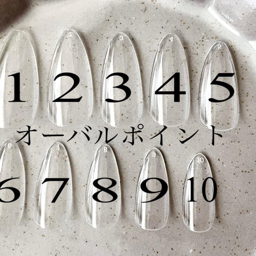 サイズ確認用ネイルチップ 2セット 種類多数あり ネイルチップ（つけ爪 