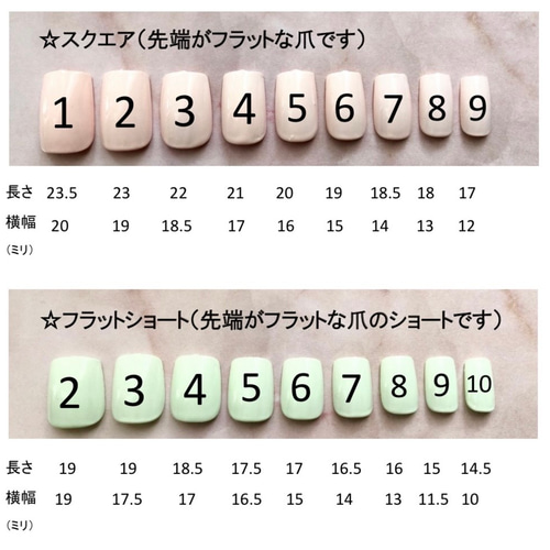 サイズ確認用ネイルチップ 2セット 種類多数あり ネイルチップ（つけ爪 