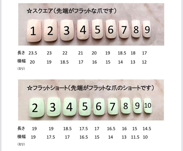 サイズ確認用ネイルチップ　2セット　種類多数あり 4枚目の画像