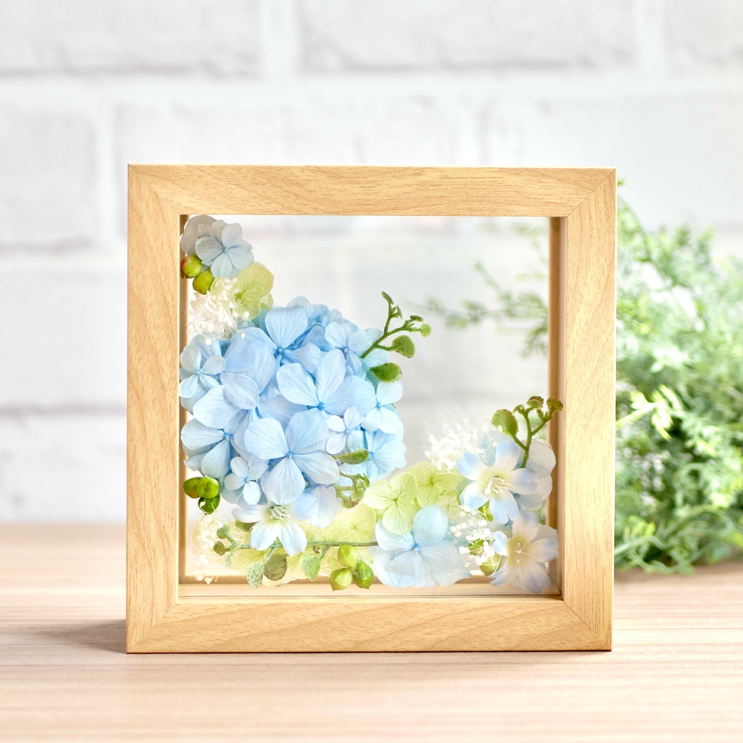 爽やかな紫陽花の咲く丘