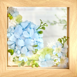 爽やかな紫陽花の咲く丘 2枚目の画像