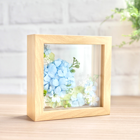 爽やかな紫陽花の咲く丘 6枚目の画像