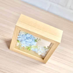 爽やかな紫陽花の咲く丘 7枚目の画像