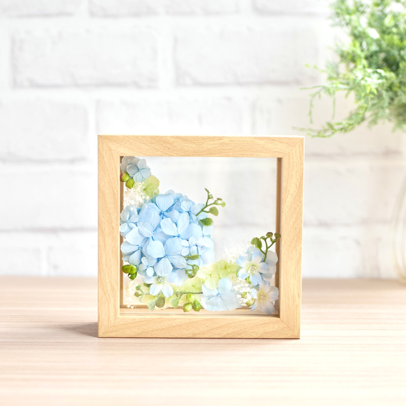爽やかな紫陽花の咲く丘 8枚目の画像